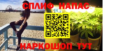 дживик Кунгур