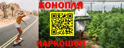 дживик Кунгур